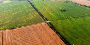 Vantagens do consórcio para a compra de terreno